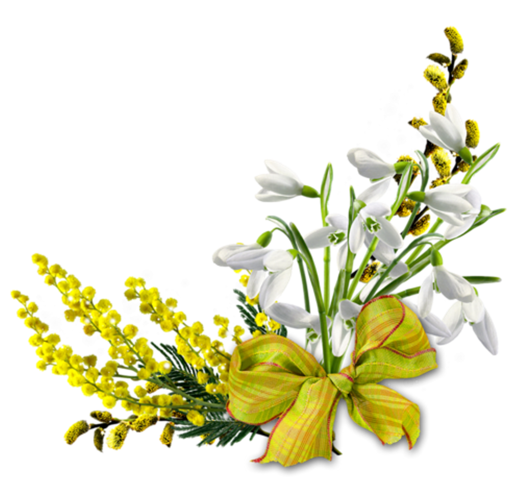 Цветы для оформления весны. Мимоза тюльпаны подснежники. Весенний букет на белом фоне. Весенние цветы на белом фоне. Весенние цветы на прозрачном фоне.